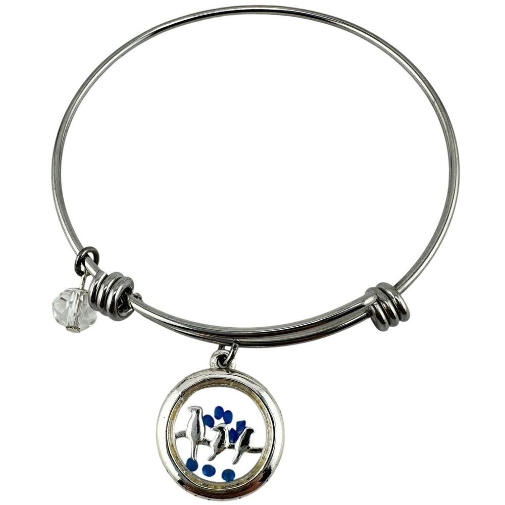 Floating Charm Birds Blue Crystals Friendship Silver Tone 7.5" Bangle Bracelet